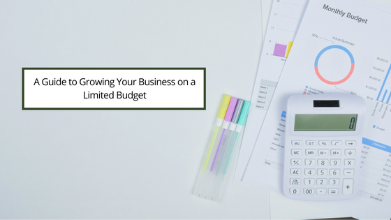 A Guide to Growing Your Business on a Limited Budget