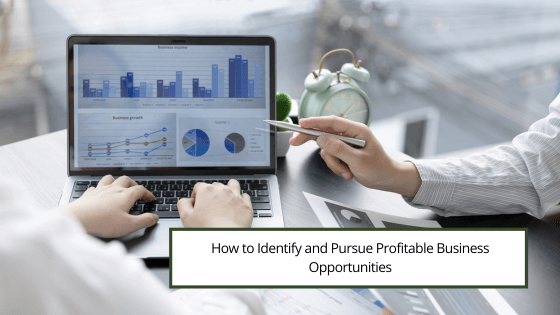 How to Identify and Pursue Profitable Business Opportunities